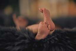 Detailaufnahme: Babyfe