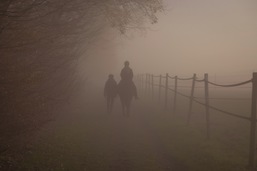 Geborgenheit - Getragensein: Freunde im Nebel
Der Weg durch die Traurigkeit ist viel einfacher mit einem Freund an Deiner Seite