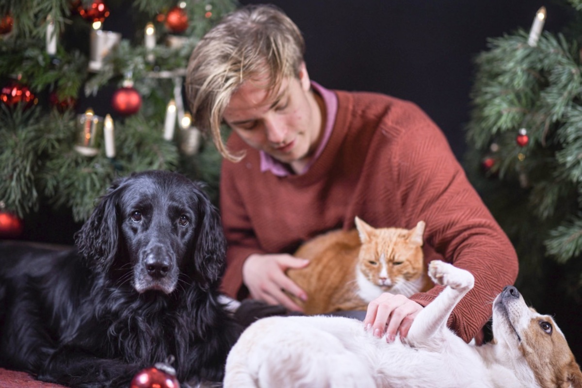 Weihnachtliches Familienbild. Tiere mit Teenager unter dem Weihnachtsbaum