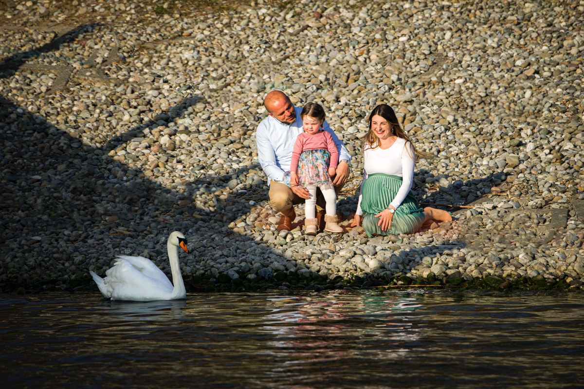 39. Schwangerschaftswoche, Pause am schnen Bodensee in Allensbach, und dann kam auch noch ein Schwan vorbei... Babybauchshooting