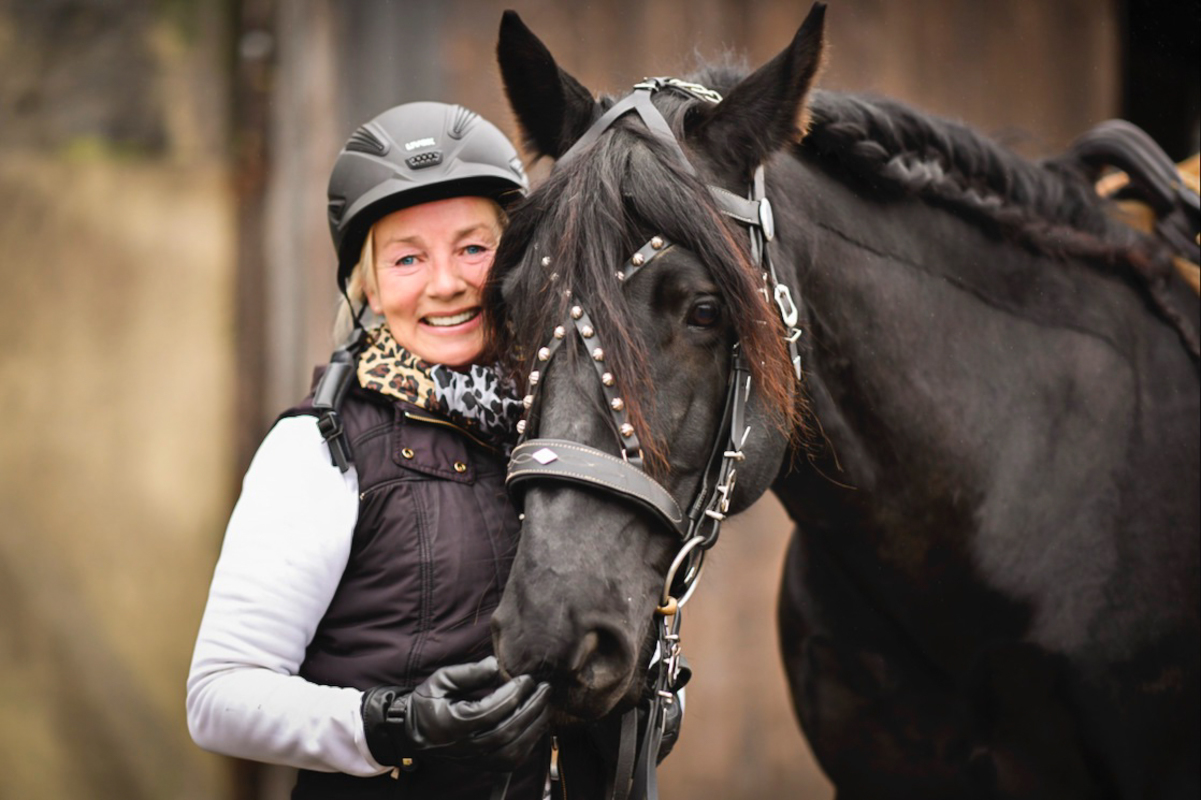 innige Beziehung zwischen dem Murgesen Wallach und seiner Halterin, Rappe, wunderschnes Portrait von Reiterin und Pferd