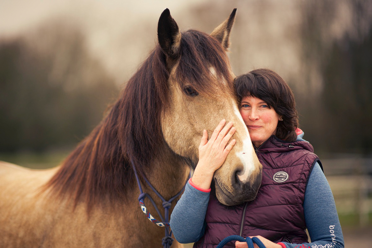 Kuscheleinheiten zwischen dem irischen Sportpferd und seiner Halterin in winterlicher Abendstimmung