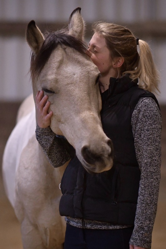 ich hab Dich soooo lieb - Kuscheleinheiten zwischen dem Araber-Pinto-Mix und seiner Halterin