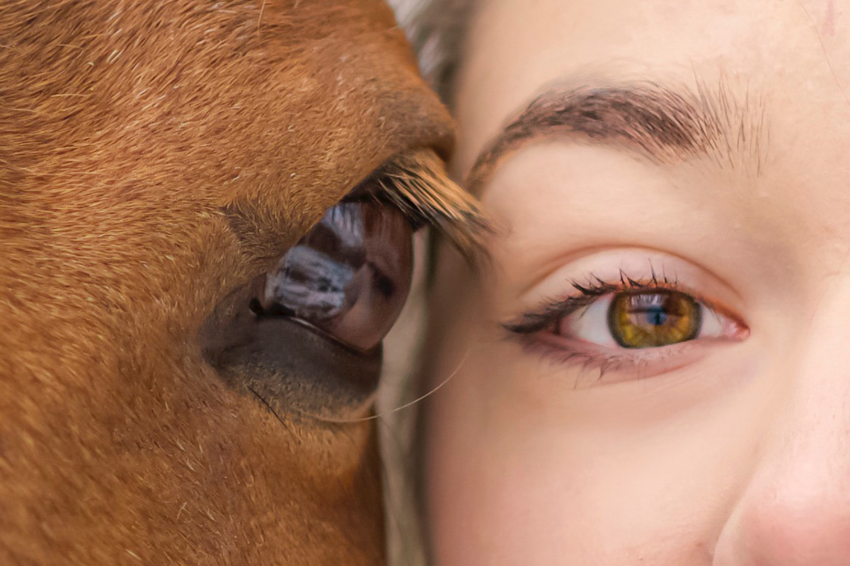 Detailaufnahme Augen von Pferd und Mensch