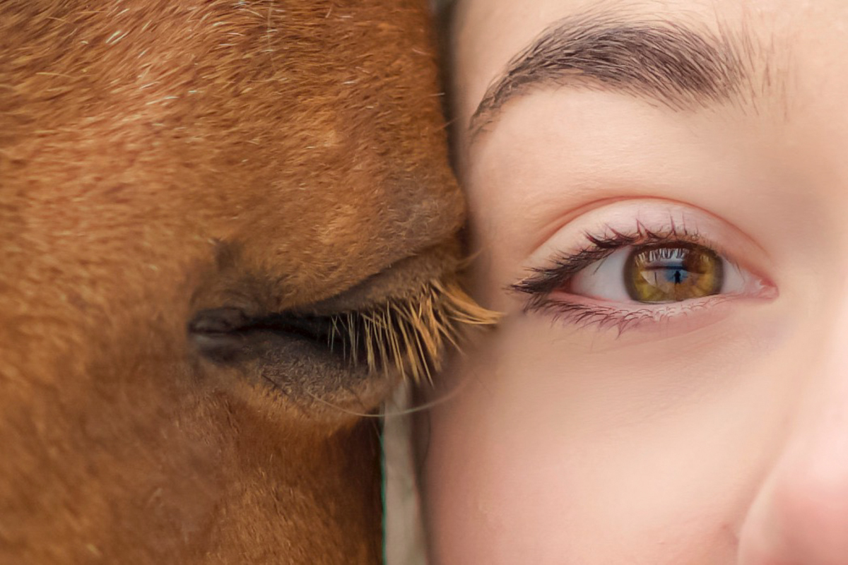 Detailaufnahme Augen von Pferd und Mensch