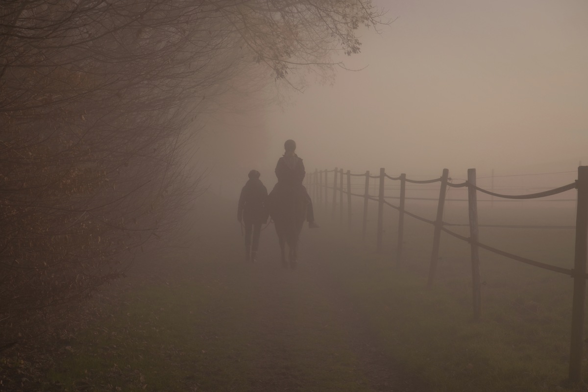 Geborgenheit - Getragensein: Freunde im Nebel
Der Weg durch die Traurigkeit ist viel einfacher mit einem Freund an Deiner Seite