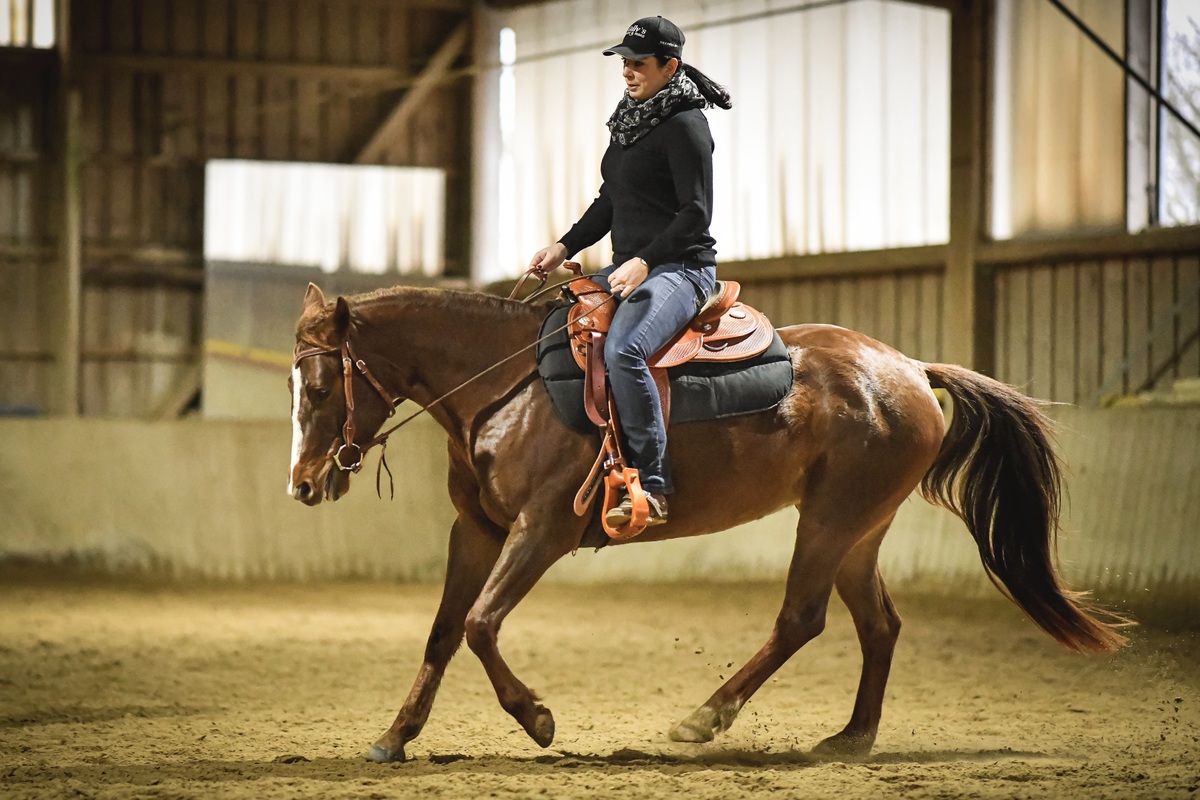 westerngerittene Quarterhorse Stute im Galopp in Reithalle Westernreiten