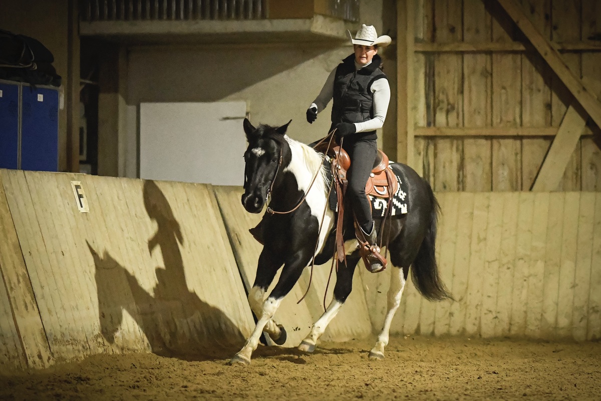 westerngerittene Paint Horse Stute im Galopp in Reithalle Westernreiten