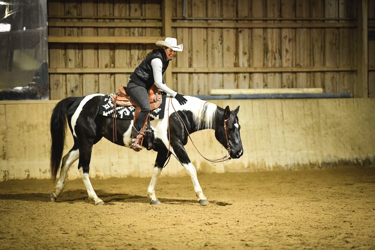 Lob fr die westerngerittene Paint Horse Stuteam langen Zgel in der Reithalle Westernreiten