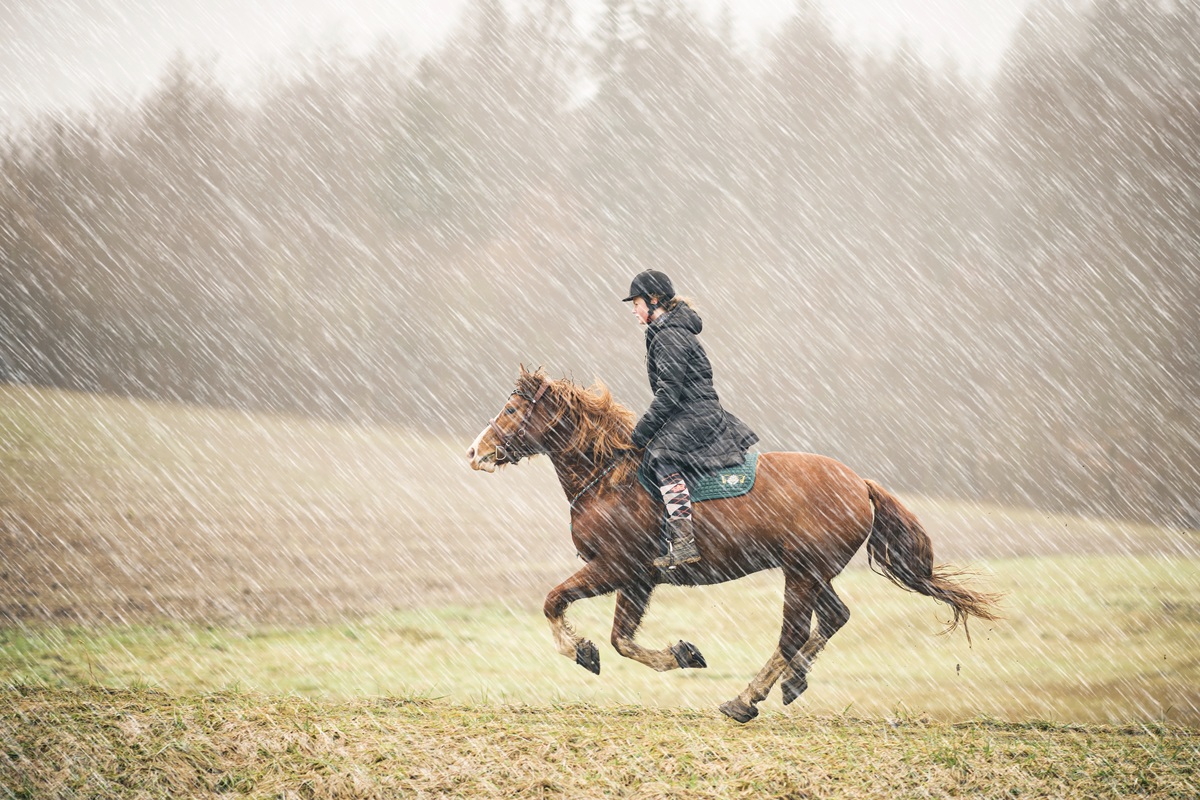 Galopp ber die Wiese im (Niesel-) Regen, mit Photoshop richtigen Regen daraus gemacht